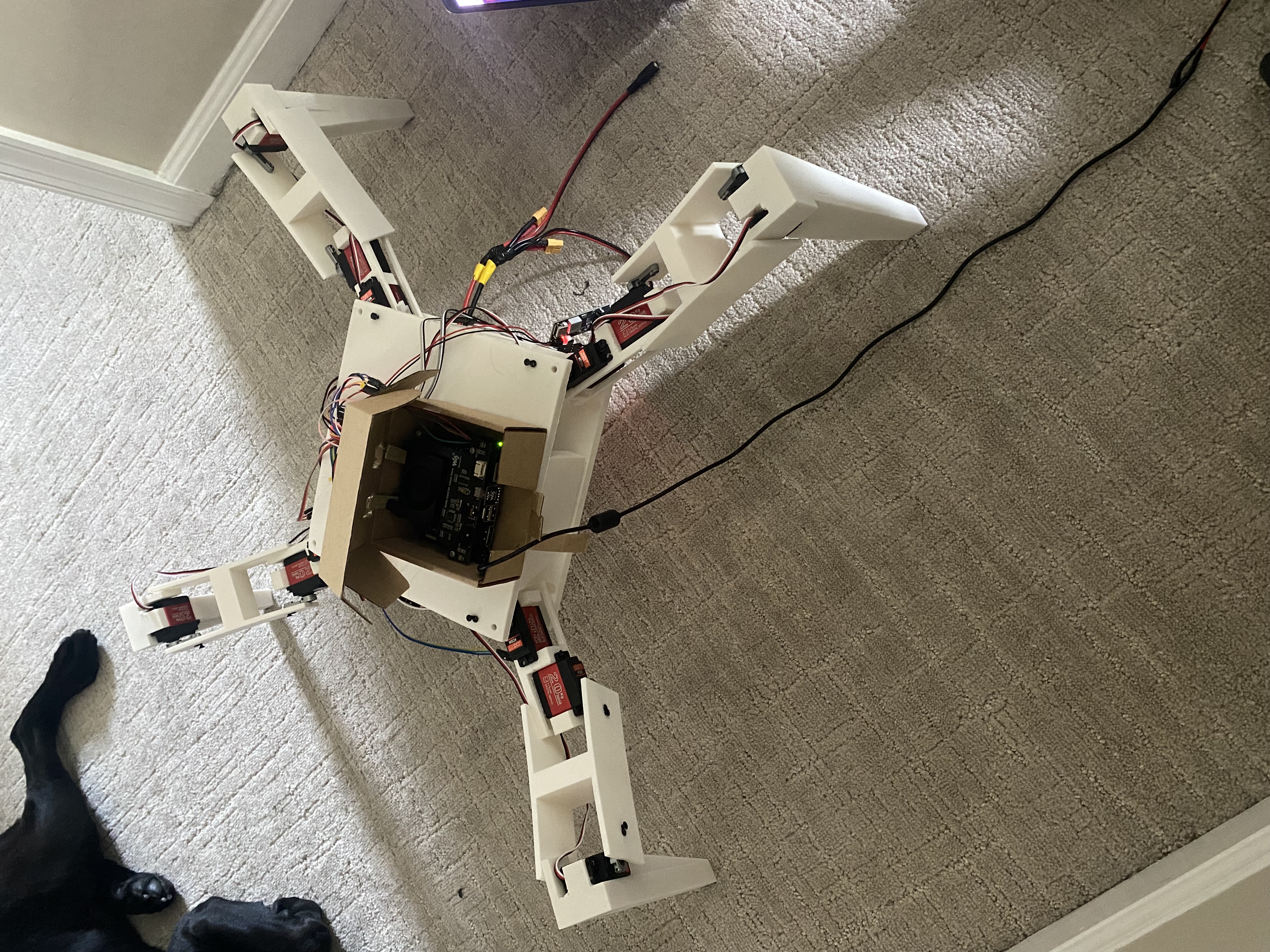 Spider bot physical build, iteration one