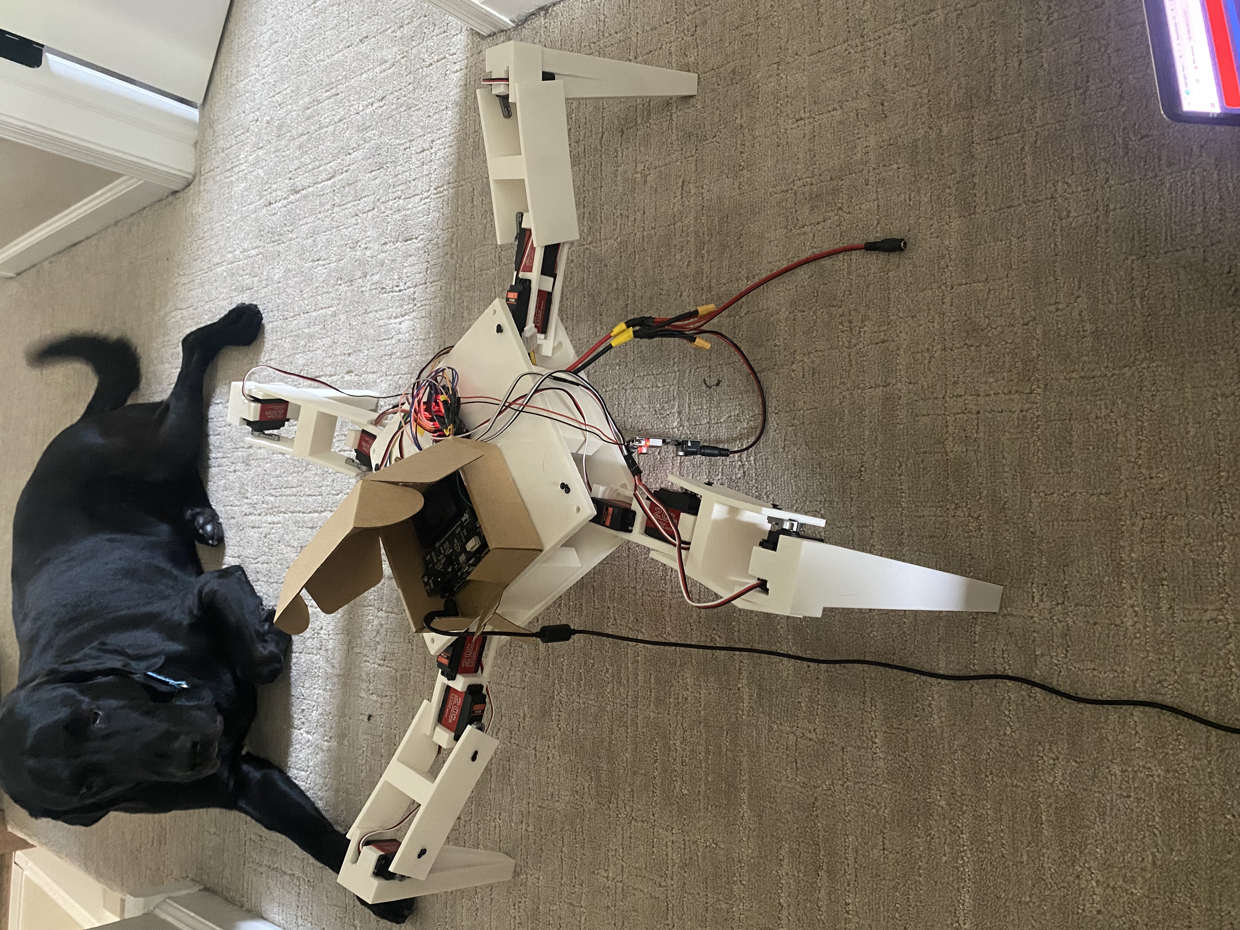 Spider bot physical build, iteration two