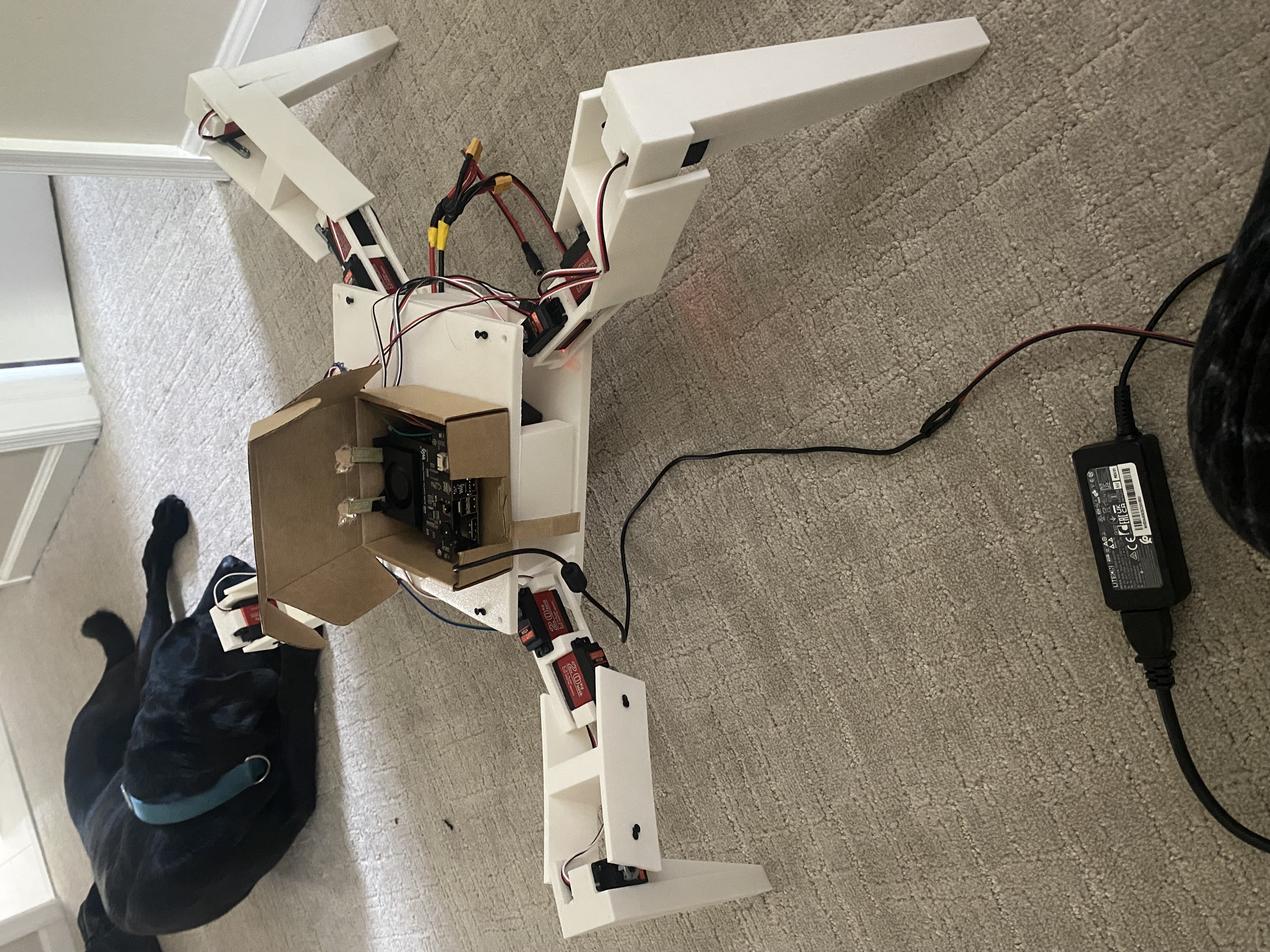 Spider bot physical build